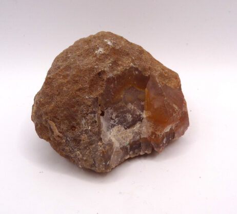 Agatnodul