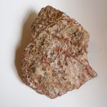 Leopardskinnsjaspis, stor bit