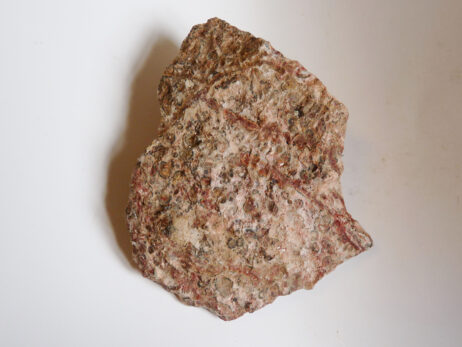 Leopardskinnsjaspis, stor bit