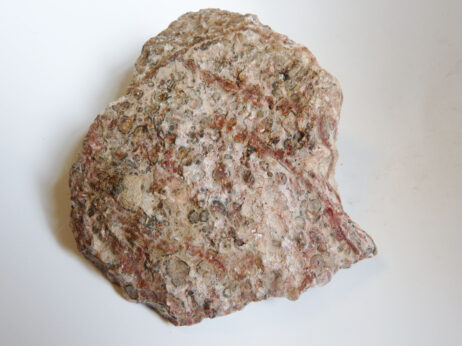 Leopardskinnsjaspis, stor bit