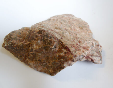 Leopardskinnsjaspis, stor bit - Bild 3