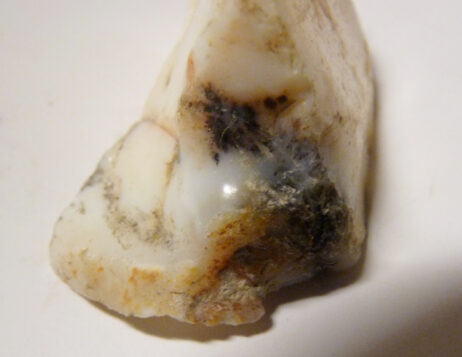 Dendritisk opal råsten