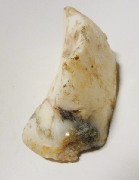 Dendritisk opal råsten